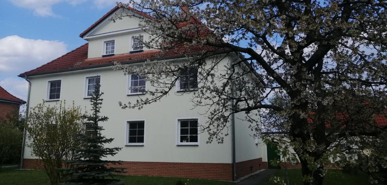 Ferienwohnungen Kleinraeschen Grossraeschen Exteriér fotografie